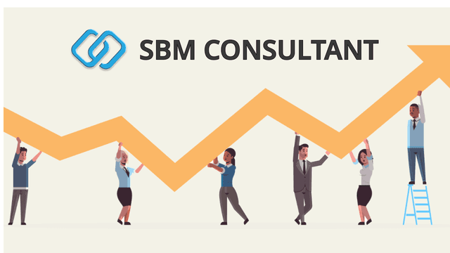 How Your Startup or Business Can Flourish with SBM Consultants in 2025